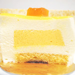 なかたに亭 - トロピックの断面。('12 6月中旬頃)