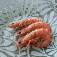 ＳＩＬＩＮ 火龍園 - 