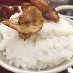 山力 - とんちゃんのっける