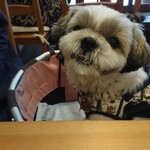 箱根唐揚げKARATTO - 