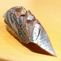 鮨 はしもと - こはだ