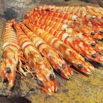 富小路 やま岸 - 