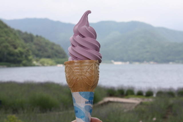 河口湖で紫のラベンダーが咲き誇る中でのソフトクリーム By てつ７ 富士山の見えるカフェ Cafe With A View Of Mt Fuji 河口湖 喫茶店 食べログ
