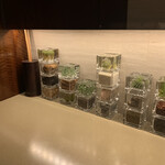 カンテサンス - 