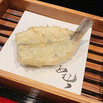 天ぷら酒房 西むら - 三河産・白身