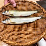 日本料理 太月 - 