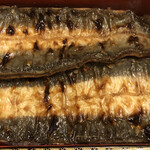 鰻はし本 - 裏横山さんの鰻の鰻重