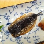鮨処 池上 - イワシのさっと炙り