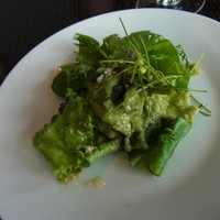 広東料理 センス - 季節の野菜を使ったサラダ風前菜　イカ・キュウリ・ピスタチオ・ゴマ・トウバンジャン・アボガドのドレッシング
