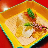 ふる林 - 