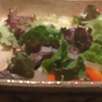 鉄板焼 豊園 (ホテル日航プリンセス京都) - 豊園サラダ