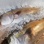 和食 鈴や - 天然カンパチ