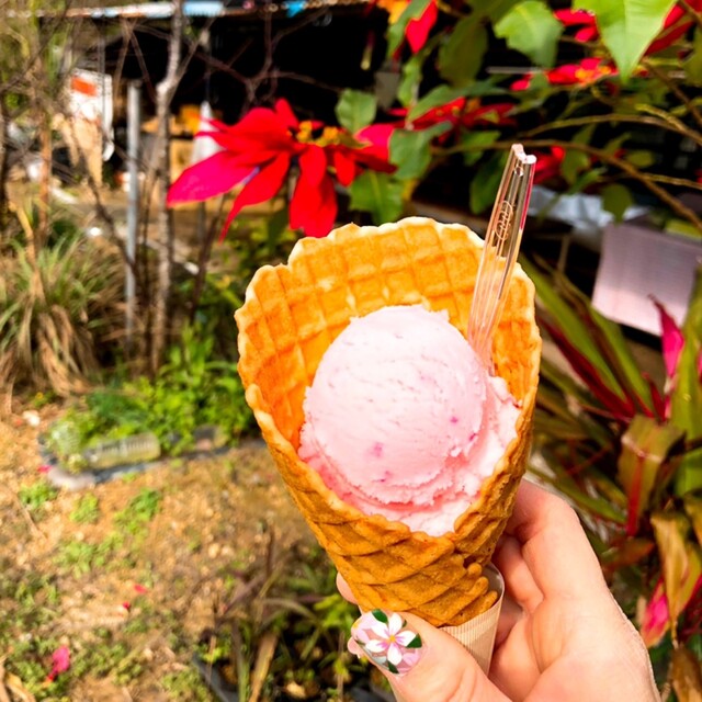 アイスクリンカフェ アーク Ice Crean Cafe 旧店名 アイスクリンカフェ 夕覧舟 本部町 アイスクリーム 食べログ