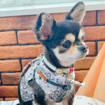 軽井沢ホテルそよかぜ - 