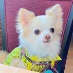 軽井沢ホテルそよかぜ - 