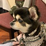 軽井沢ホテルそよかぜ - 