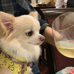 軽井沢ホテルそよかぜ - 