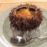 温味 - ばふんの中にはじゅんさい　蒸鮑など