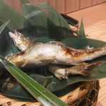 温味 - 長良川天然鮎