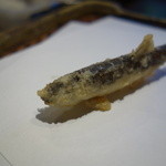 みかわ 是山居 - 2012.07.02：稚鮎-1