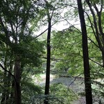 Furiko Sabou - View from the Cafe