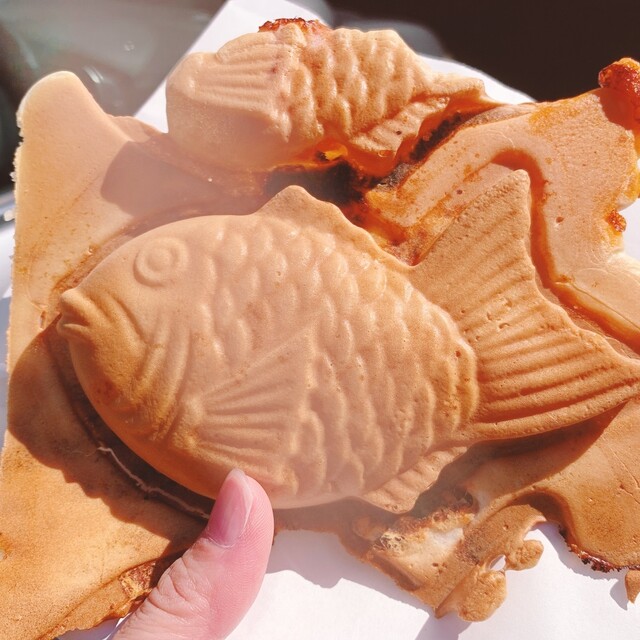 鯛幸堂 タイコウドウ 深井 たい焼き 大判焼き 食べログ 鯛幸堂 タイコウドウ 深井 たい焼き 大判焼き 食べログ