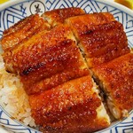 炭焼 うな富士 - 