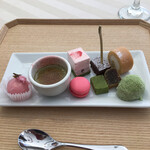 エルムガーデン - 