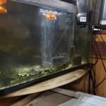 みたかや酒場 - 金魚の水槽