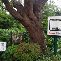 鎌倉山 本店 - 