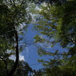 京・貴船ひろや - 