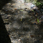 京・貴船ひろや - 