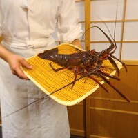 淡悦 - 
