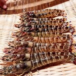 鮨 さかい - 車海老は福岡県の志賀島産