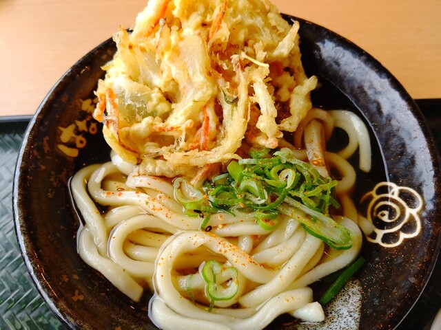 はなまるうどん 伊勢原アクロスプラザ店 愛甲石田 うどん 食べログ