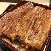 うなぎ 目白ぞろ芽 - 
