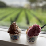 ポムジェラート - 