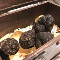 マルゴット エ バッチャーレ - 