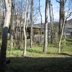 ティールーム Nicol - 朝の風景