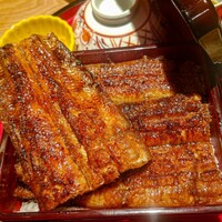 炭焼 うな富士 有楽町店 - 