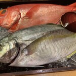 一心鮨 光洋 - シマアジキンメ特大