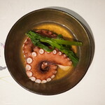 octopus