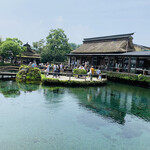 Oshino yashima - 富士山の伏流水が水源の湧水池として有名な「忍野八海」。