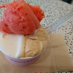 ジェラテリア リトルタ - 