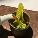 ラ・ヴァガボンド - ブイヤベースのスープの中に下からズッキーニのペースト、モンサンミッシェル産ムール貝、エゴマの新芽と黄色い葉の花オクラ