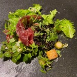 ラ・ヴァガボンド - 