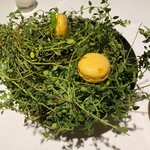 ラ・ヴァガボンド - 