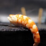 麻布十番松栄寿司 - 海老