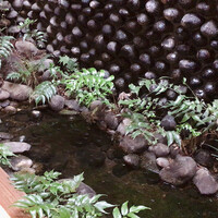 韻松亭 - 入口正面箱庭の池