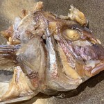 居食屋 わいるどふぁーむ  - 